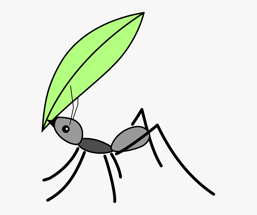 Transparent Hormiga Png - Ant With Leaf Drawing, Png Download