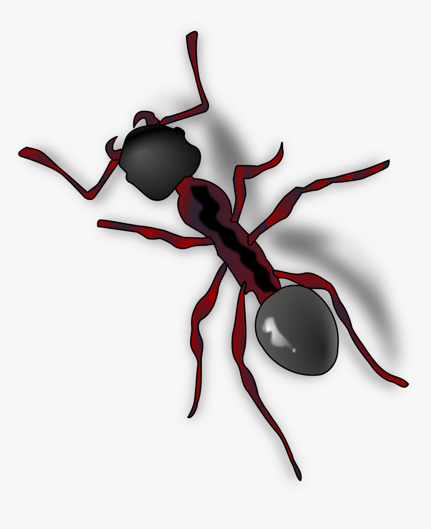 Ant Clip Art, HD Png Download