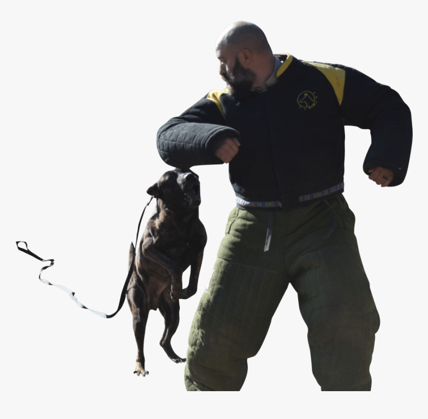 Decoy Equipment Bundle - Police Dog, HD Png Download