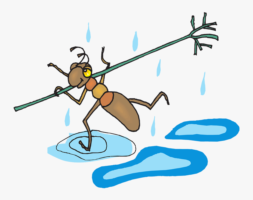 Ant, HD Png Download