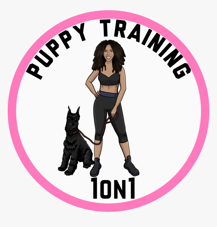 Puppy Training 1on1 - Dog Catches Something, HD Png Download