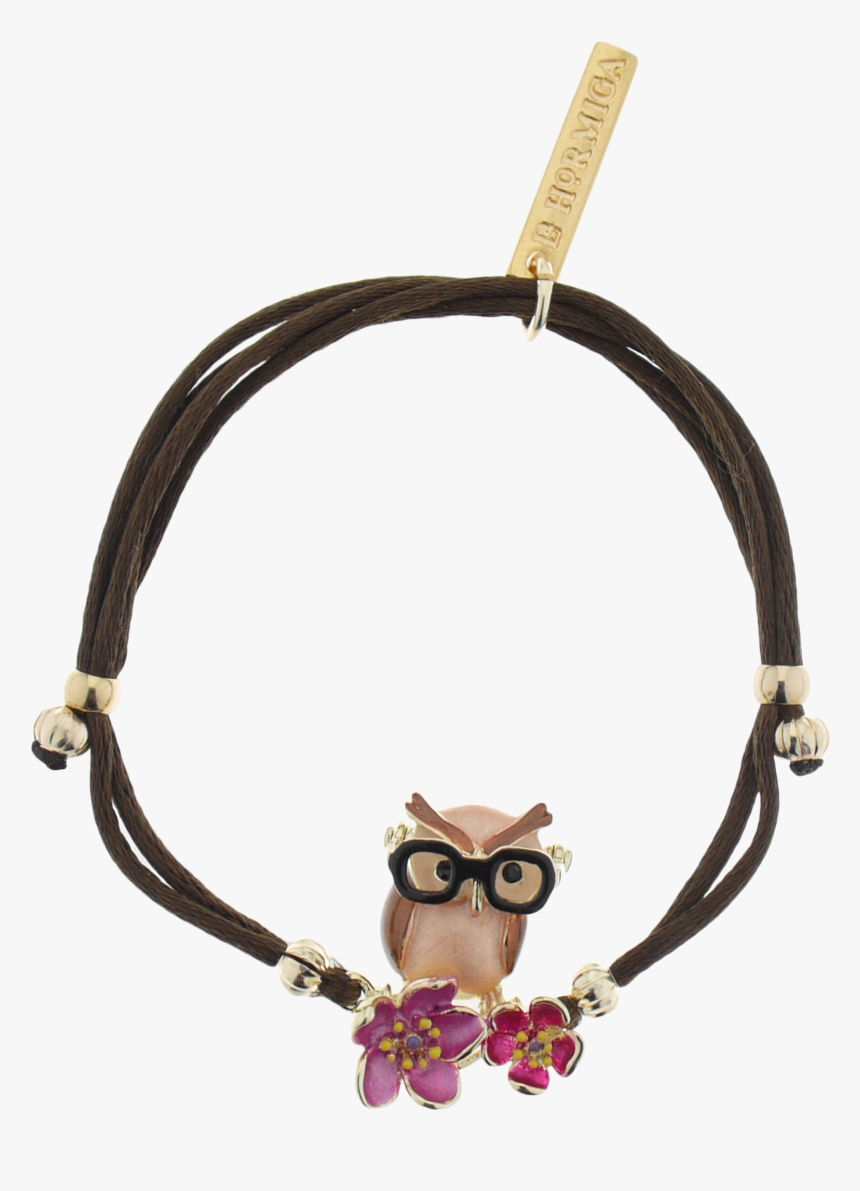 Eastern Screech Owl - Owl, HD Png Download