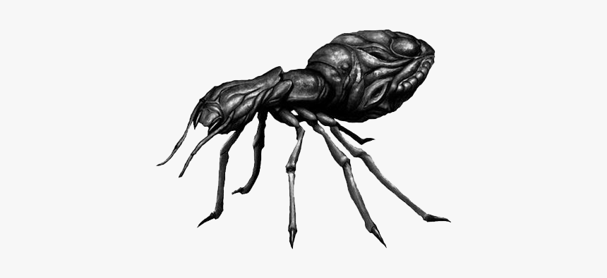 Hormiga Png, Transparent Png