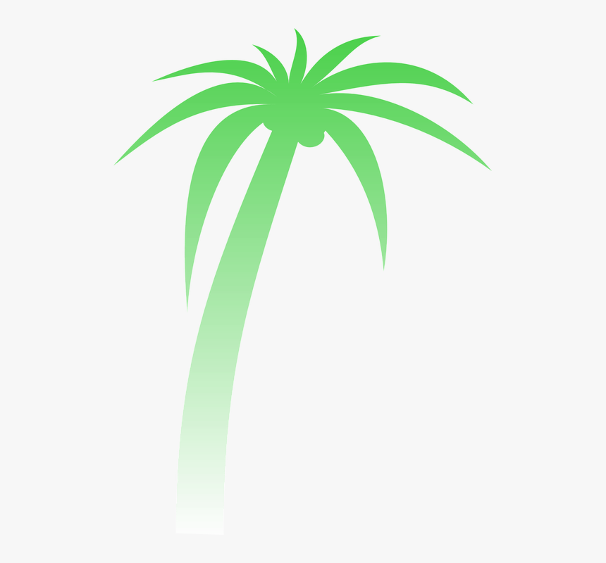 Palm Palmera Degradado Verde Tropicales Árbol - Palm Tree Clip Art, HD Png Download