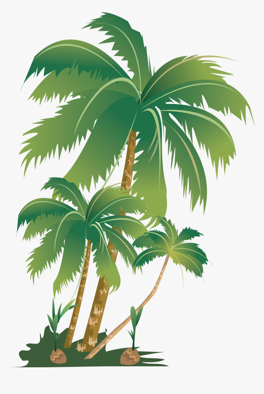#tropical #summer #palm #tree #palmera #summerfun #sticker - Palm Trees, HD Png Download