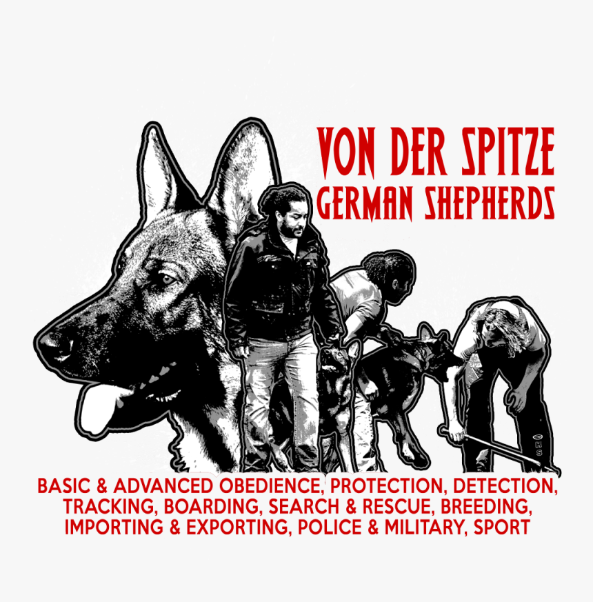 Poster, HD Png Download