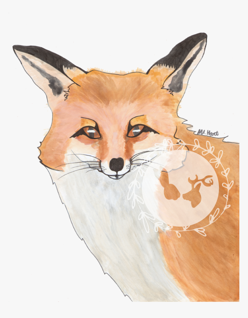 Red Fox, HD Png Download
