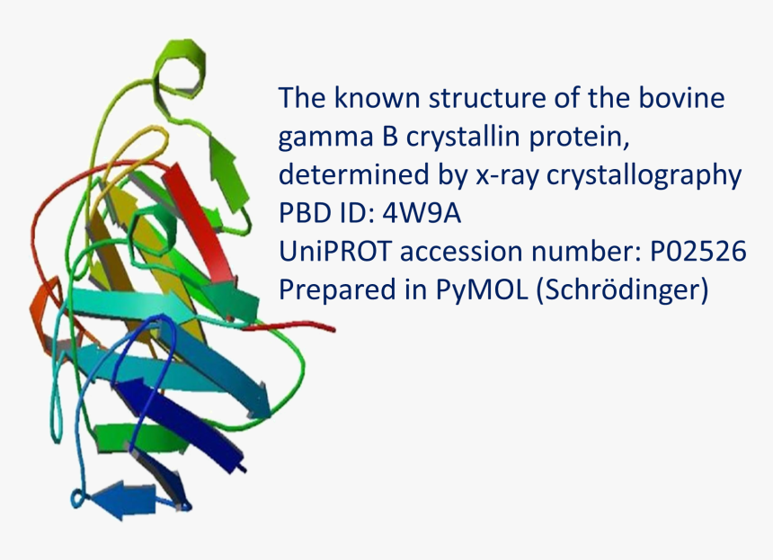 Crystallin - Graphic Design, HD Png Download