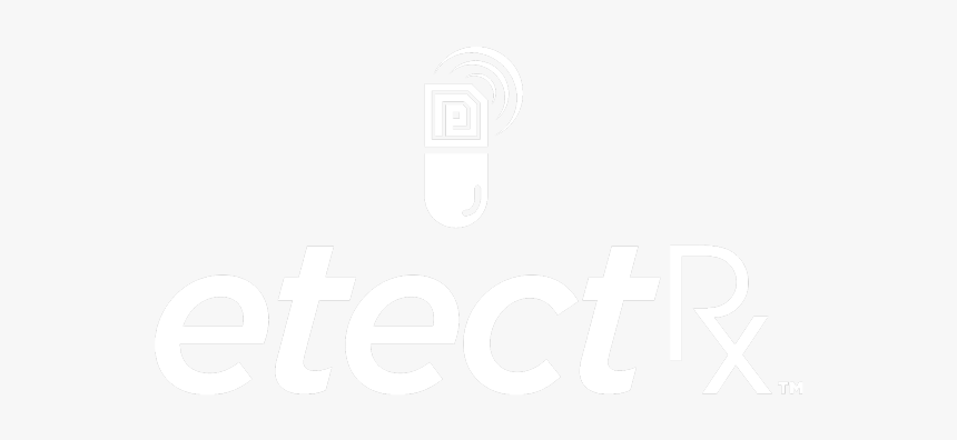 Sketch, HD Png Download