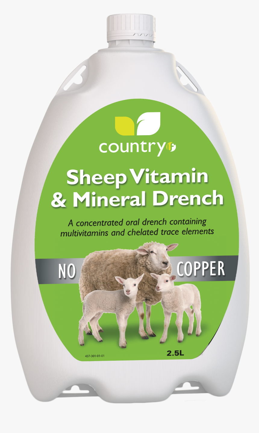 Mane, HD Png Download