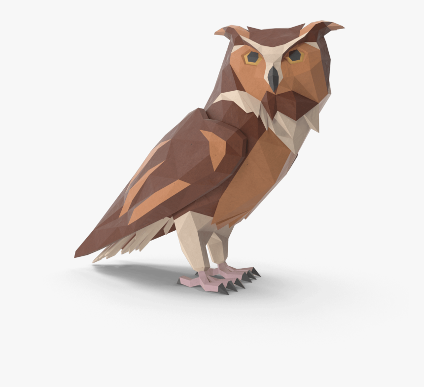 Eastern Screech Owl, HD Png Download