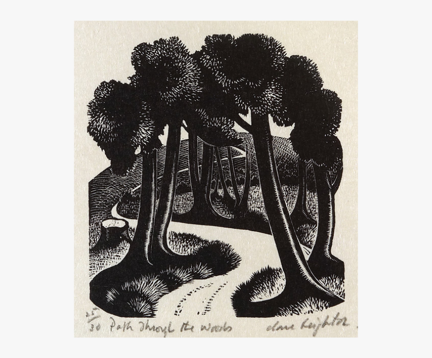 Clare Leighton Path Through The Woods Wood Engraving Illustration Hd Png Download Transparent Png Image Pngitem