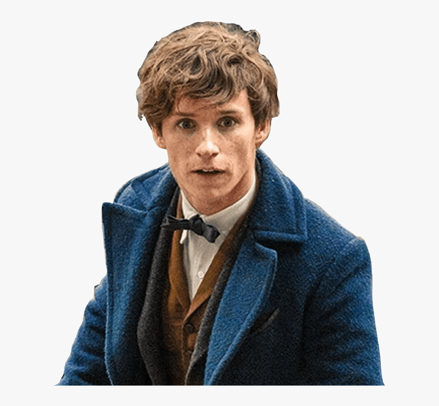 Newt Scamander Looking Up Dumbledore Fantastic Beasts 2 Wand, HD Png