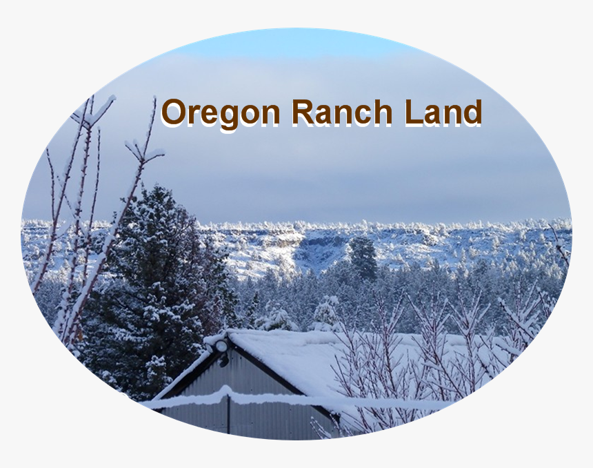 Snow, HD Png Download