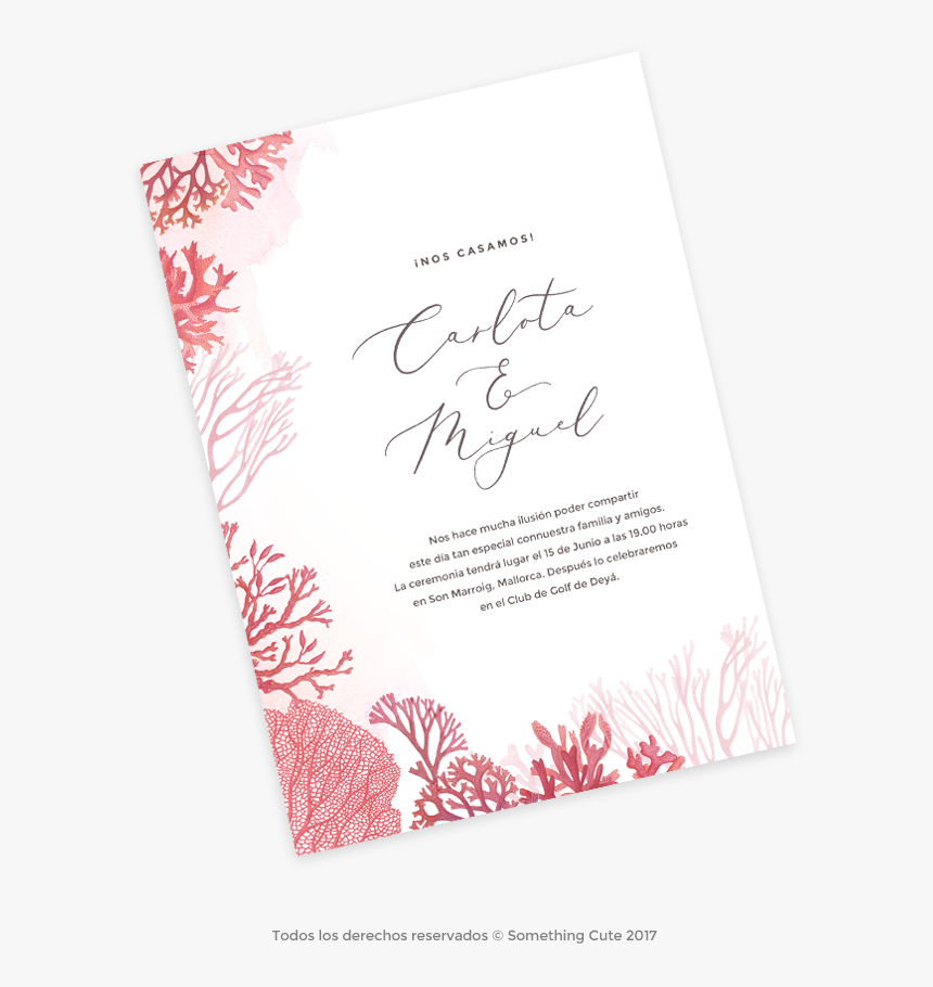 Calligraphy, HD Png Download