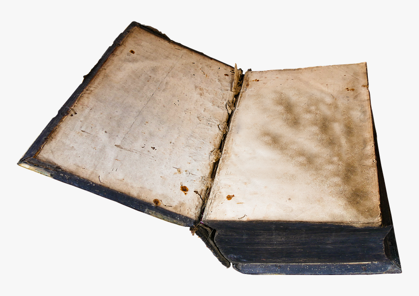 Wood, HD Png Download