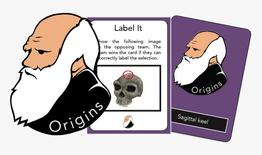 Picture - Pokemon Biological Origins, HD Png Download