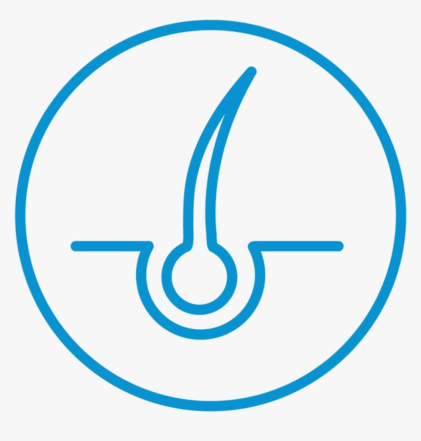 Circle, HD Png Download