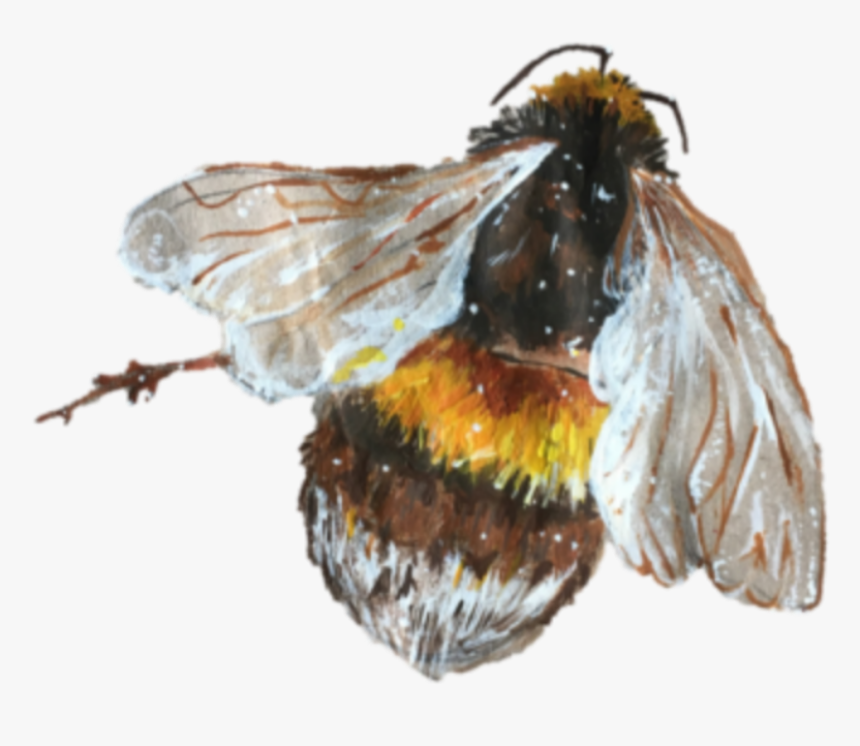 #bee #abeja #art #tumblr #tumblraesthetic #aesthetic - Png Tumblr Bee, Transparent Png