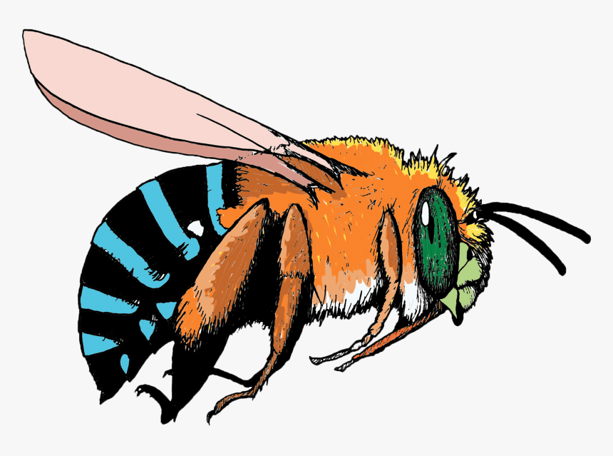 Bee Pollinating Flower Clipart Clipart Free Download - Blue And Orange Bee, HD Png Download