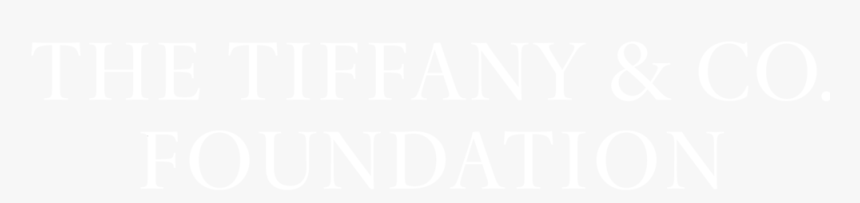 Tiff - Html 5 Icon White, HD Png Download