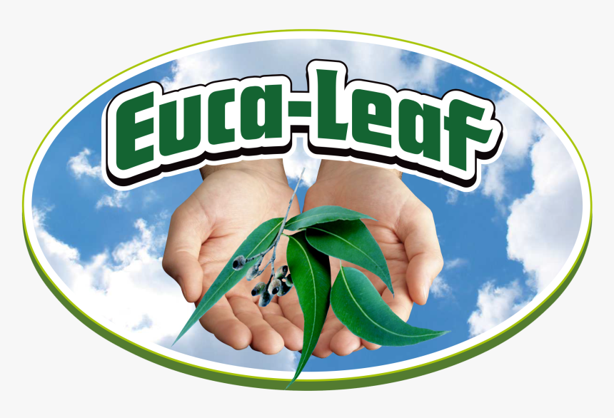 Graphic Design, HD Png Download