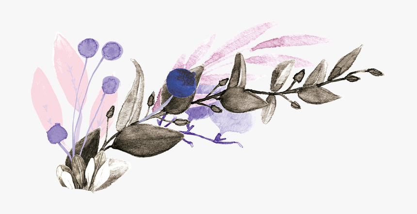 Image - Lavender, HD Png Download
