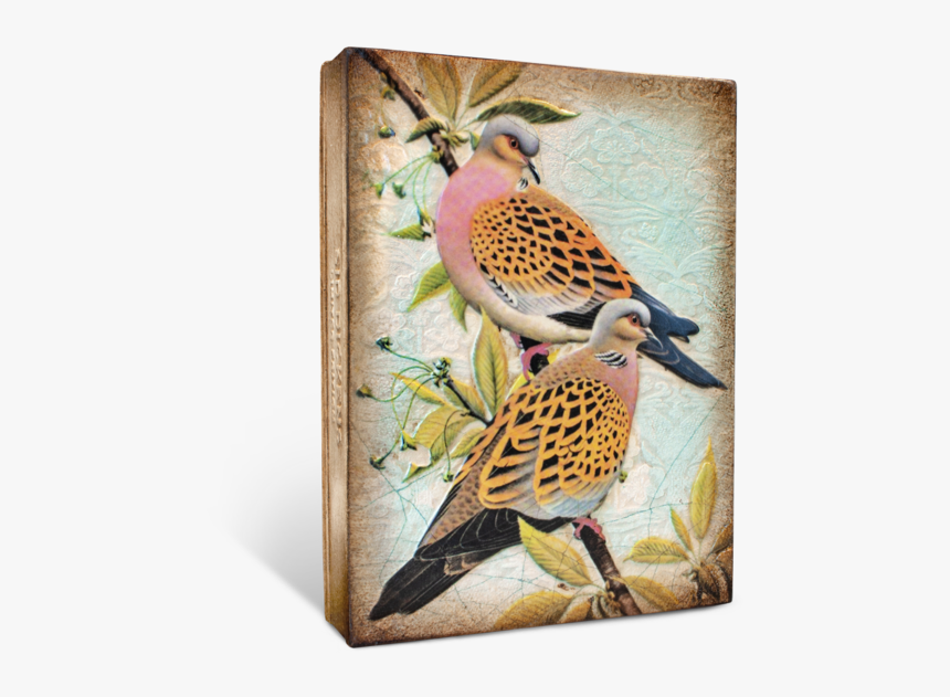 Sid Dickens Rle19 06, HD Png Download