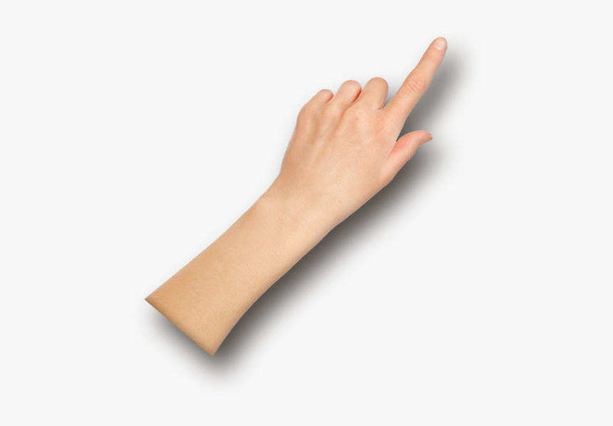 Wrist, HD Png Download
