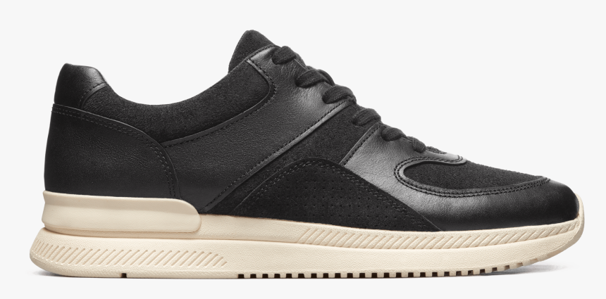Everlane Sneakers, HD Png Download