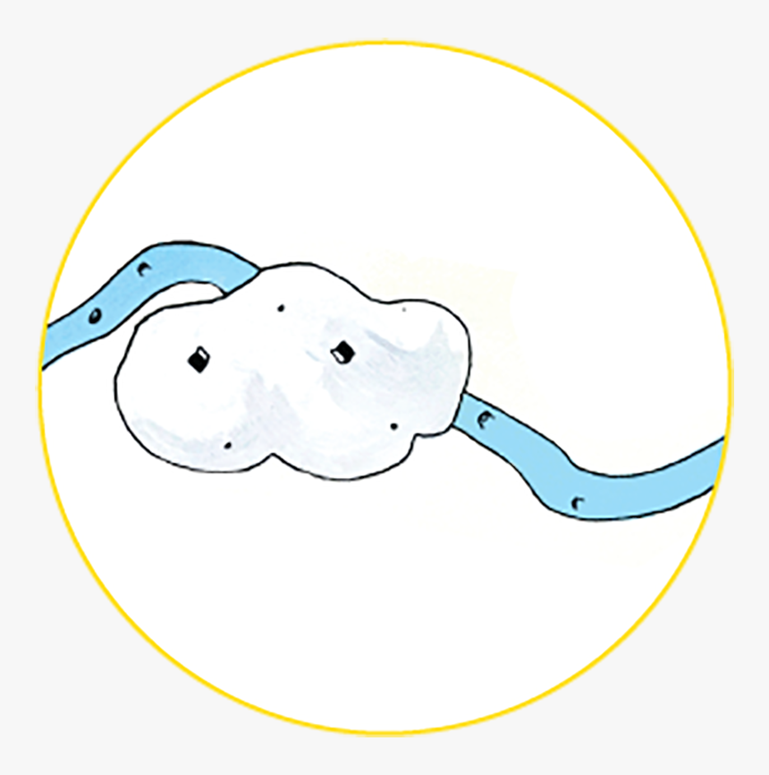 Moon S Whisper, HD Png Download