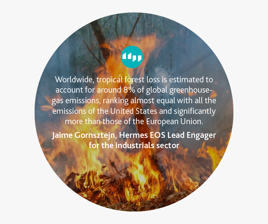 Fire Burning, HD Png Download