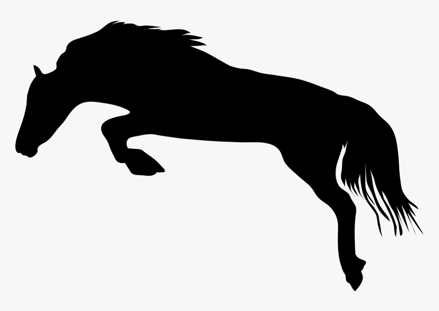 Stallion, HD Png Download