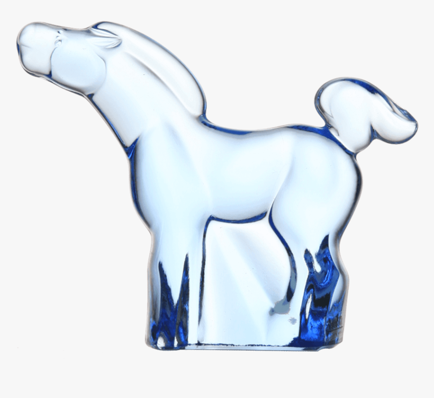 Horse - Colt, HD Png Download