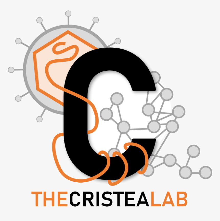 Cristea Lab - Graphic Design, HD Png Download
