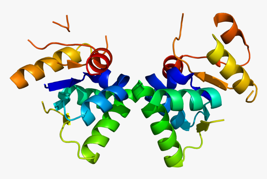 Protein Smg5 Pdb 2hwy, HD Png Download
