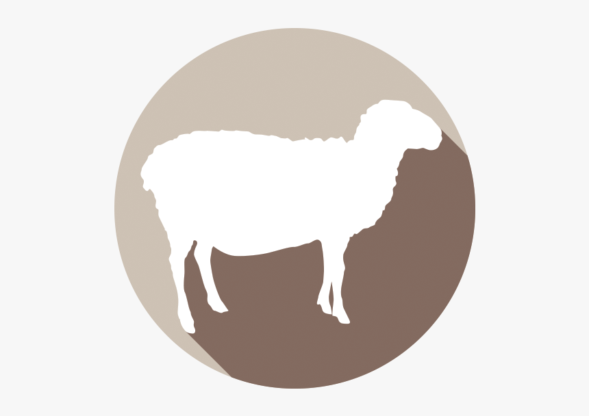 Argali, HD Png Download