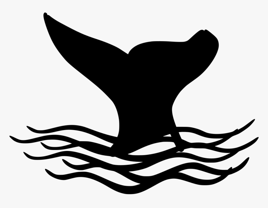 Barbatana De Peixe Png, Transparent Png