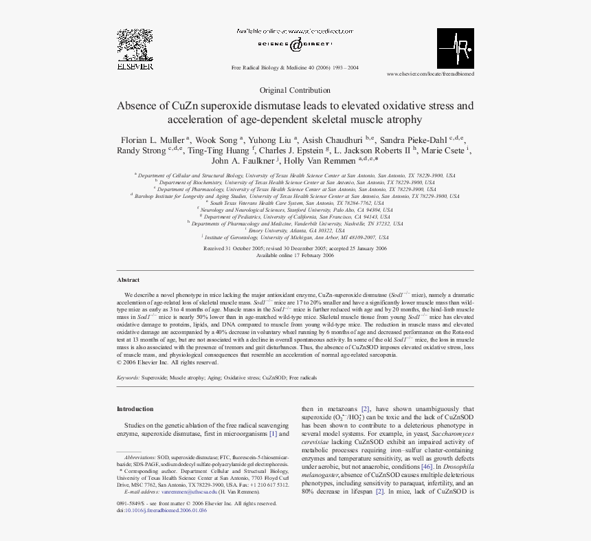 Document, HD Png Download