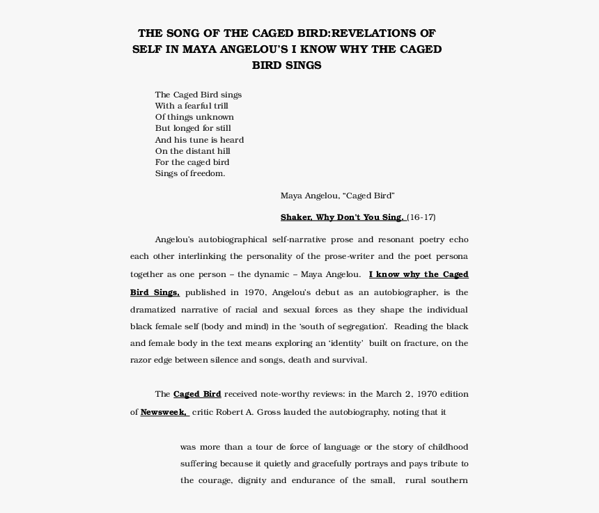 Document, HD Png Download