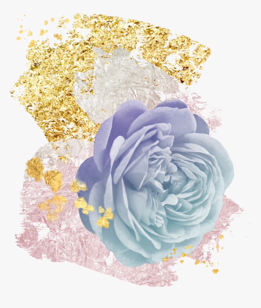 Bohemian-18 - Garden Roses, HD Png Download