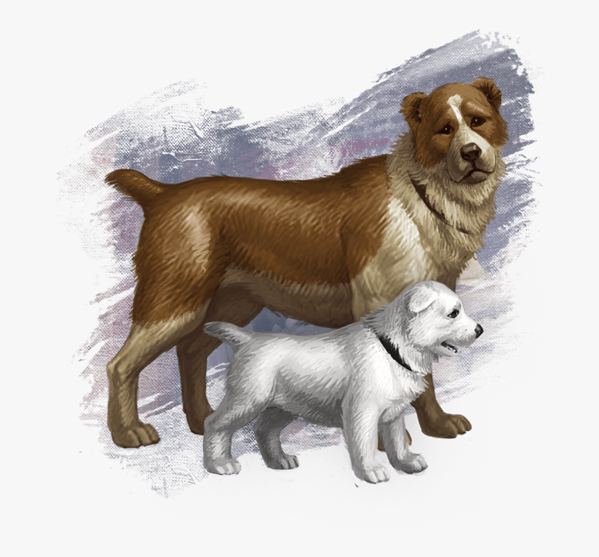 Companion Dog, HD Png Download