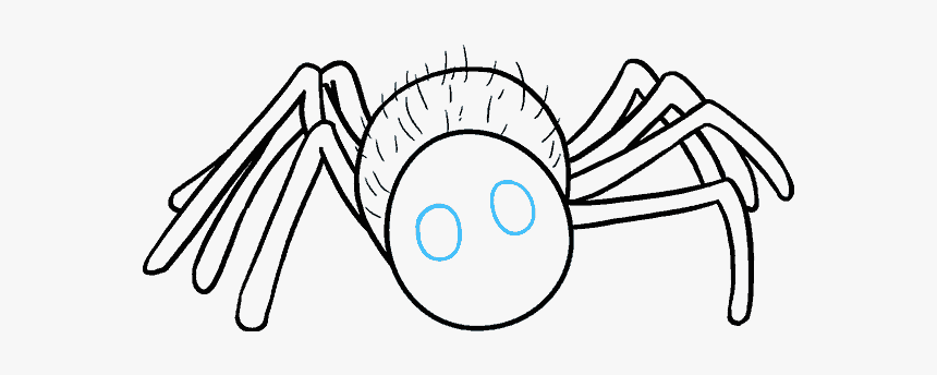 How To Draw Cartoon Spider - Spider Black And White Clipart, HD Png Download