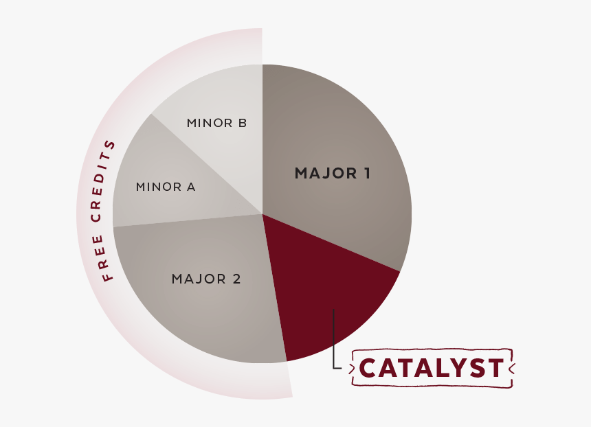 Pie Chart Example Of How Much Time Catalyst Takes Of - Circle, HD Png Download