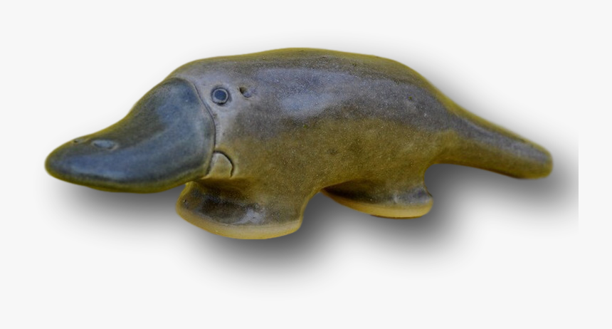 Dugong, HD Png Download
