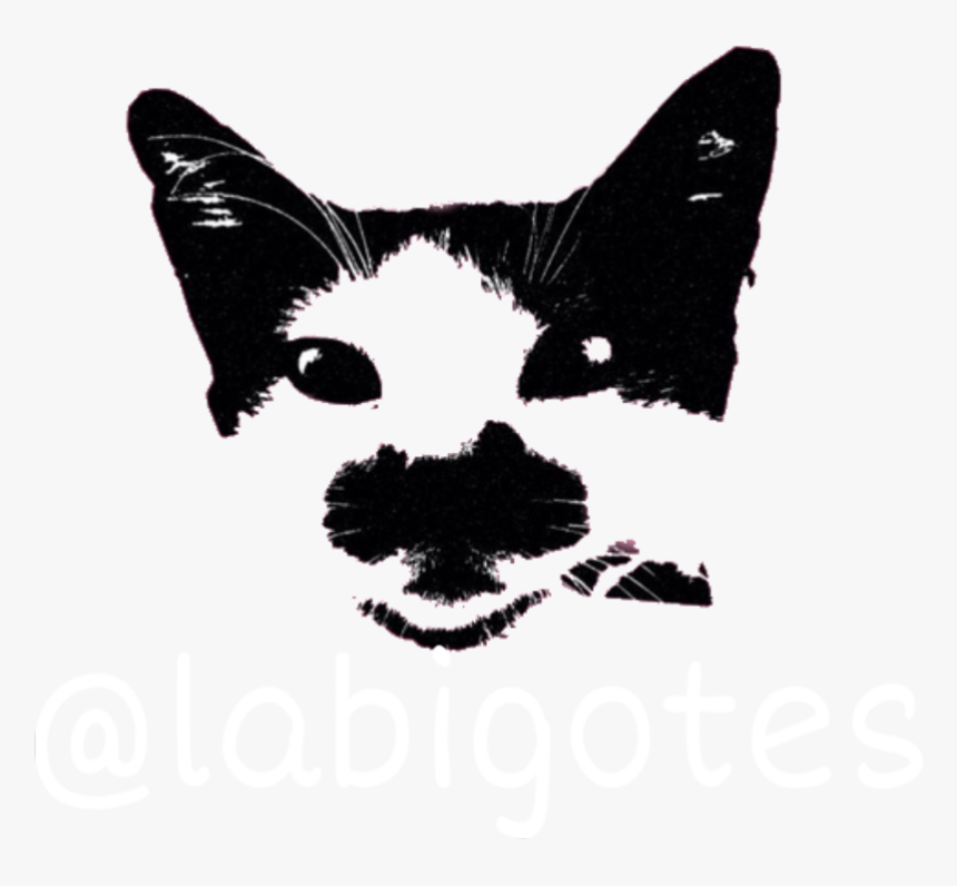 #bigotes #freetoedit - Sphynx, HD Png Download