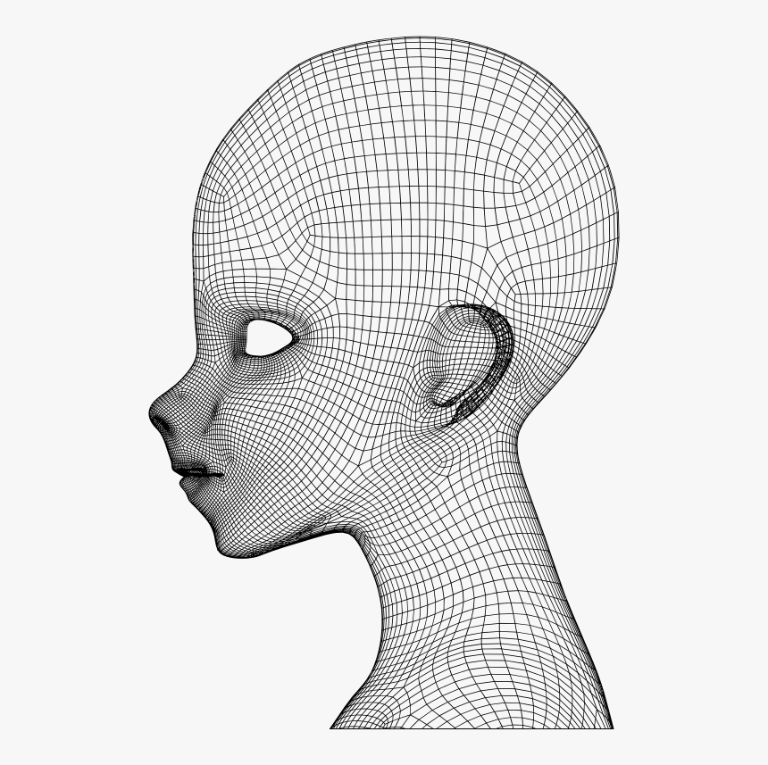 Boy Wireframe Head - Wireframe Head Png, Transparent Png