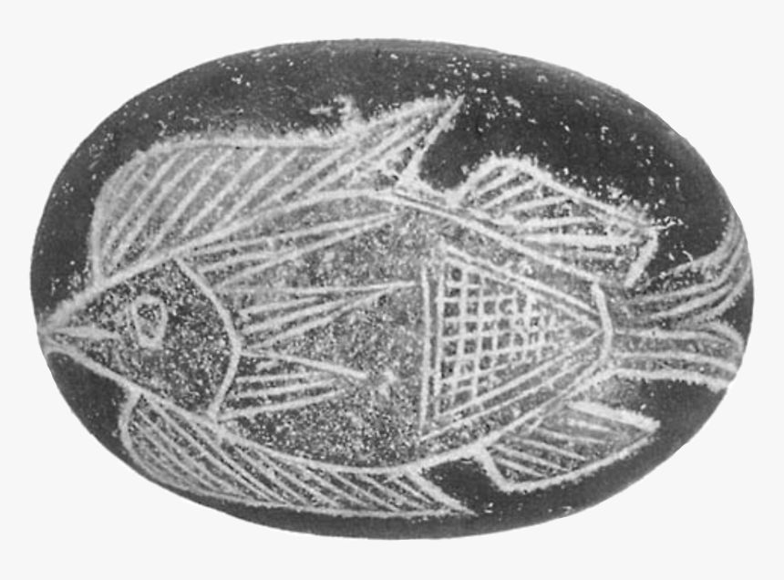 Circle, HD Png Download