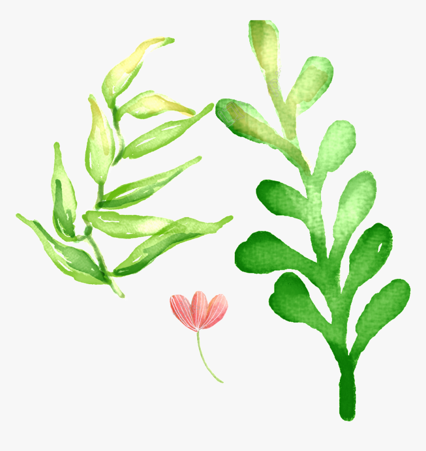 Pintado A Mano De - Verbena, HD Png Download