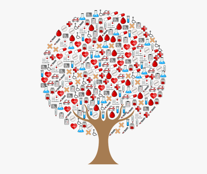 Albero Del Sangue , Png Download - Art Of Family Medicine, Transparent Png